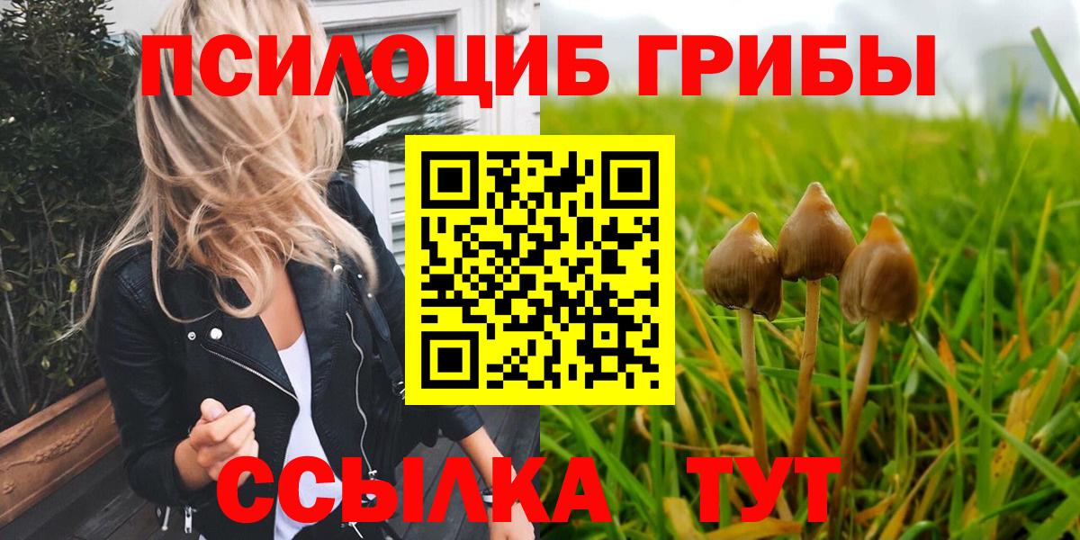 цены   Галлюциногенные грибы мухоморы  Вход с VPN  Ленинск-Кузнецкий 